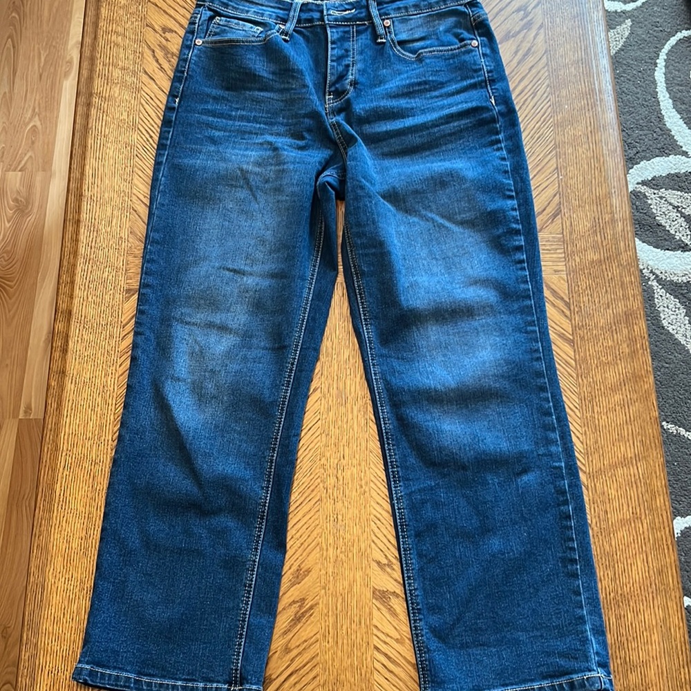 Hydraulic Murray high rise button fly bootcut jeans, size 8.